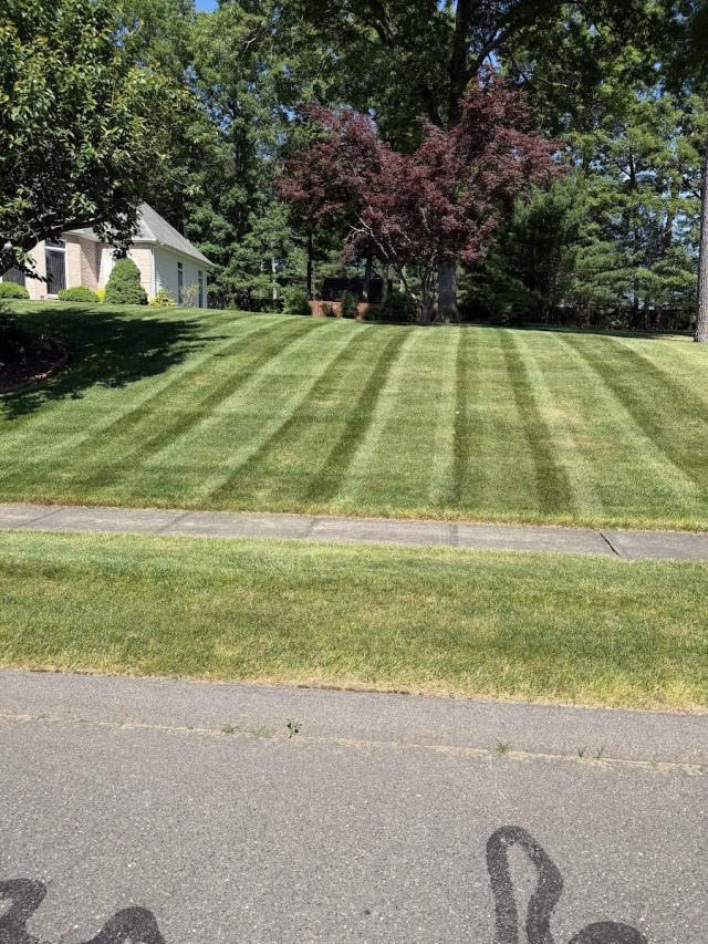 Freshly striped front lawn along a driveway
