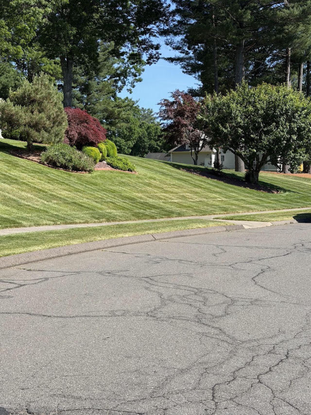 Clean-cut stripes framed by garden beds