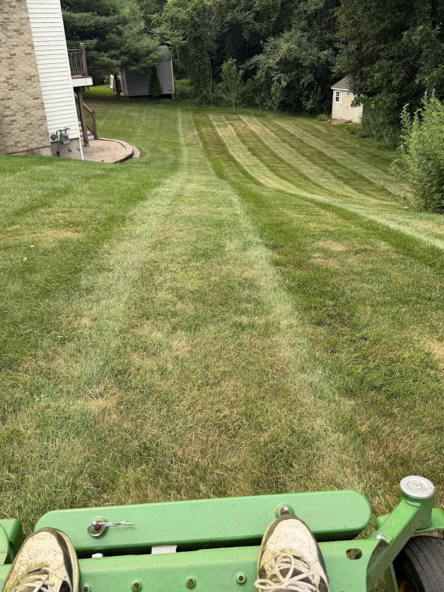 Mower's-eye view of a striped backyard